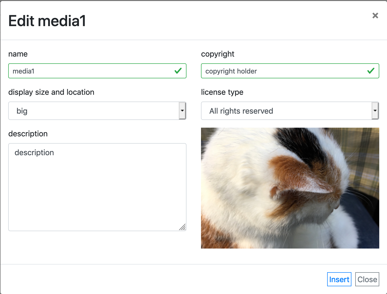 image showing the edit media dialog
