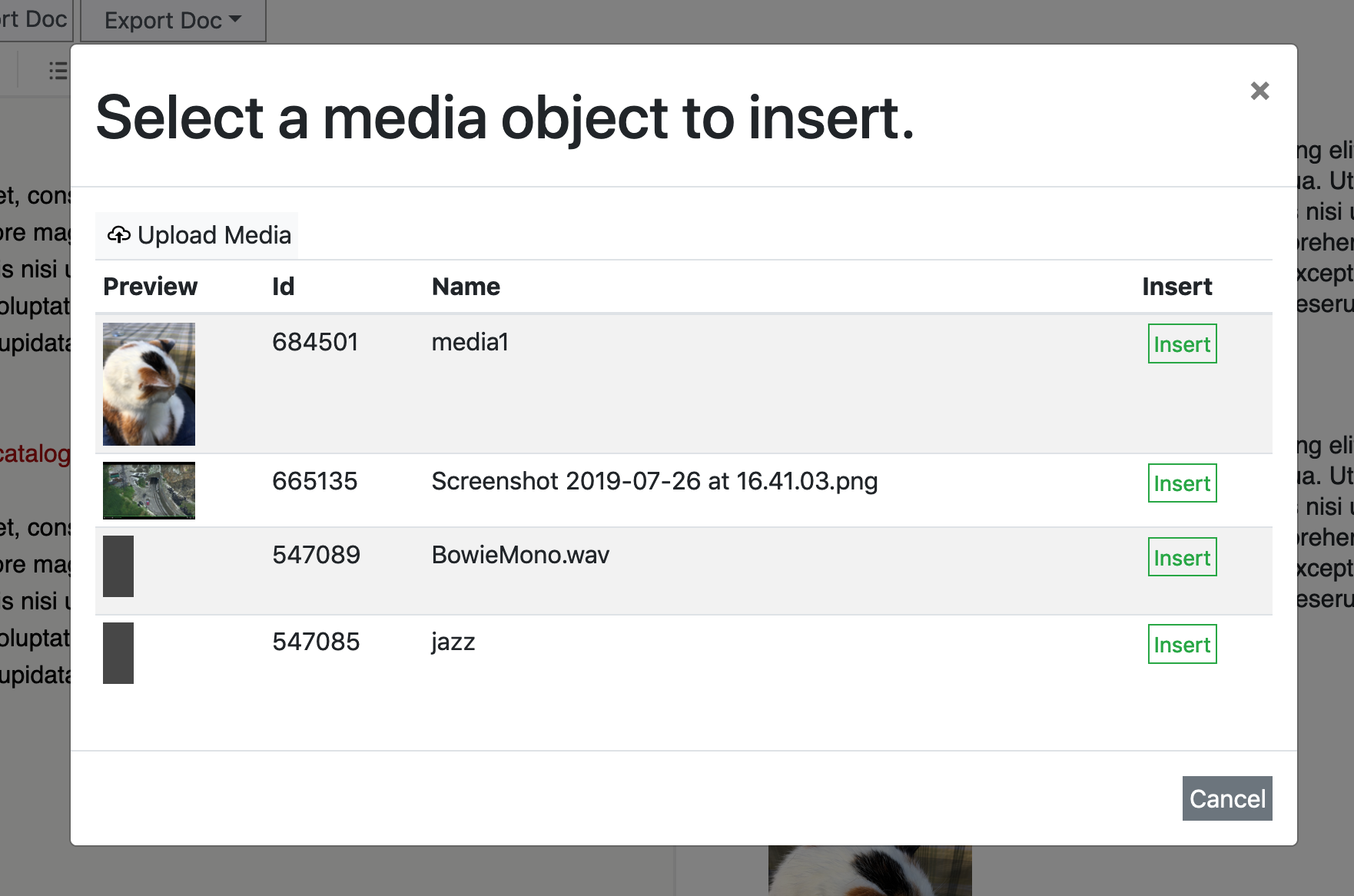 inserting media using the insert button